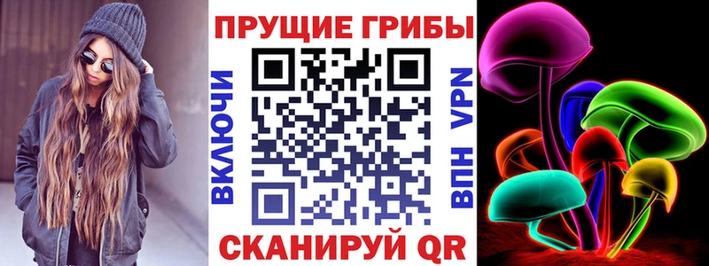 Псилоцибиновые грибы Psilocybe  где купить наркоту  Куйбышев 